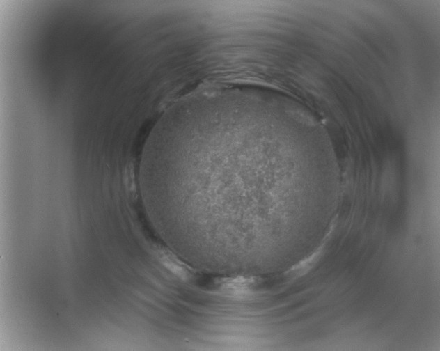 X0000068830182200605081223