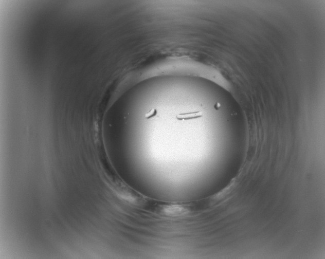 X0000068830183200605081223