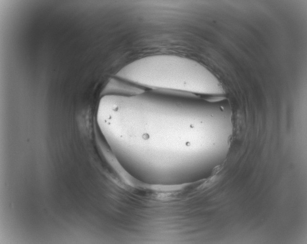 X0000068830184200605081223