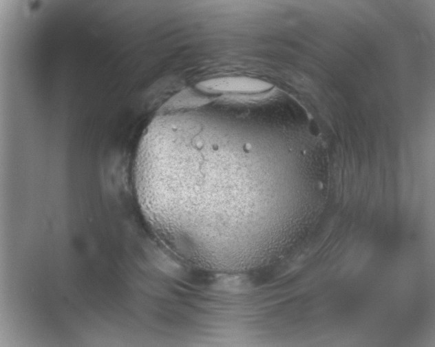 X0000068830185200605081223