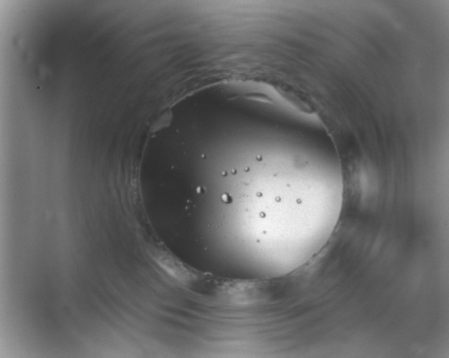 X0000068830186200605081223