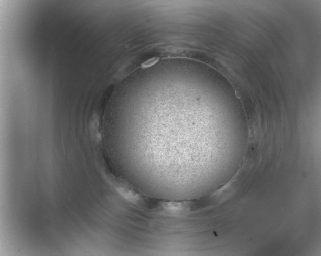 X0000068830187200605081223