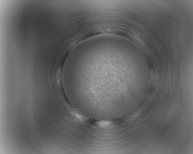 X0000068830189200605081223