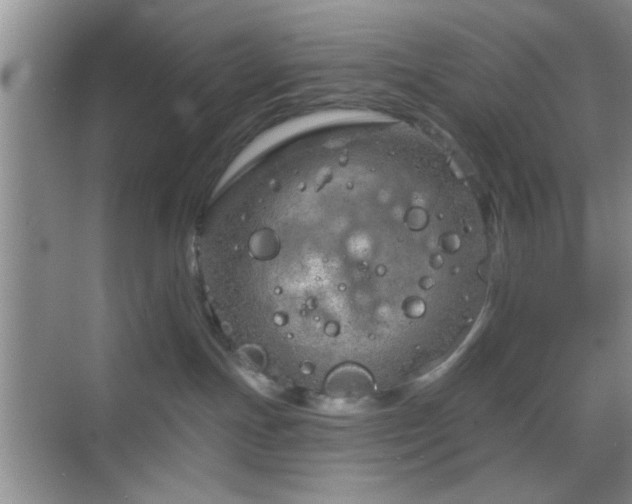 X0000068830191200605081223