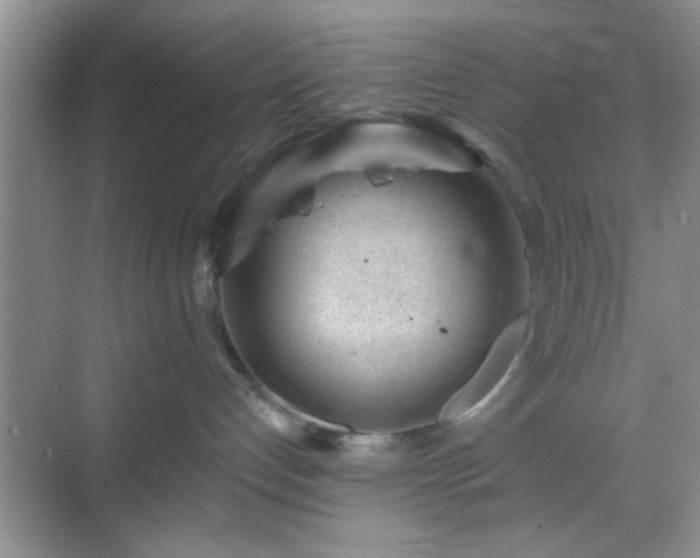 X0000068830192200605081223