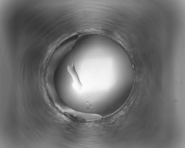 X0000068830193200605081222