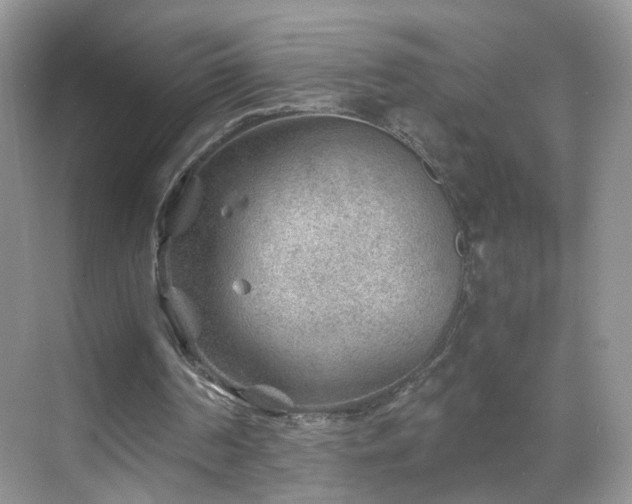 X0000068830194200605081222