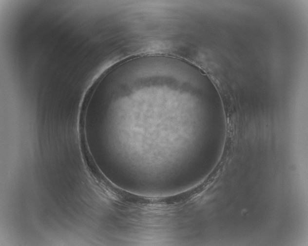 X0000068830196200605081222