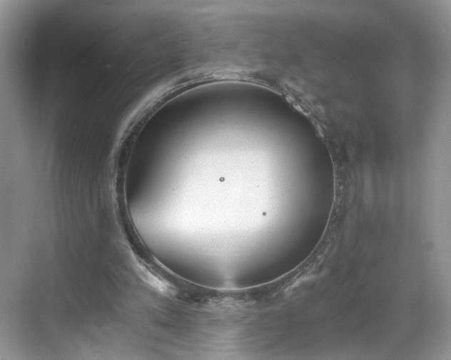 X0000068830197200605081222