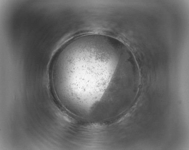 X0000068830198200605081222