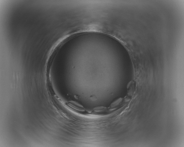 X0000068830200200605081222