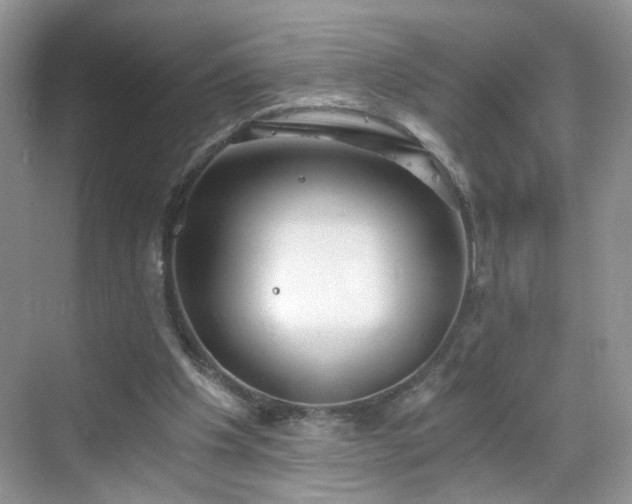 X0000068830201200605081222