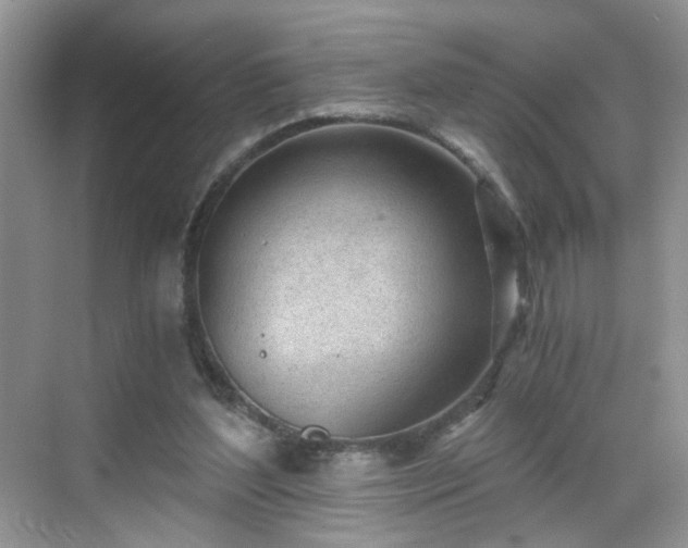 X0000068830204200605081222