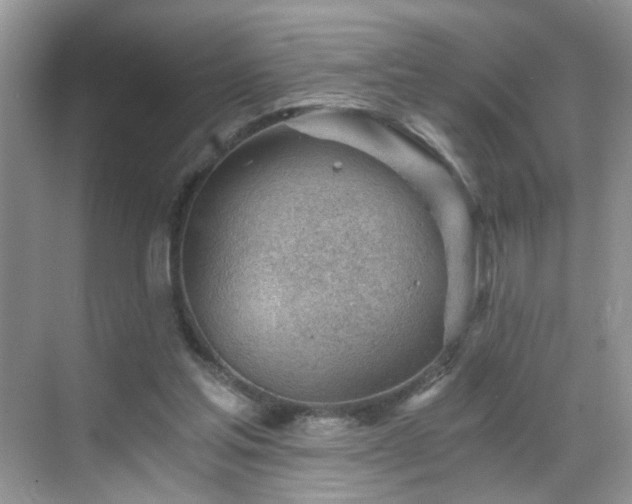 X0000068830205200605081222