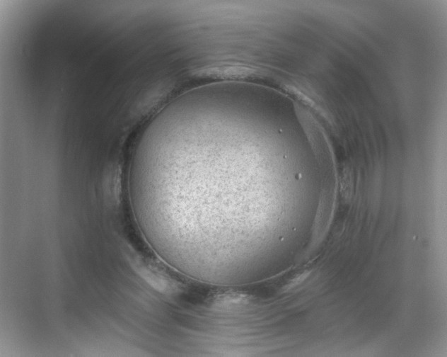 X0000068830206200605081222