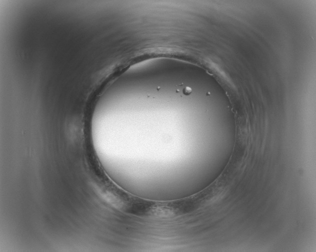 X0000068830207200605081222