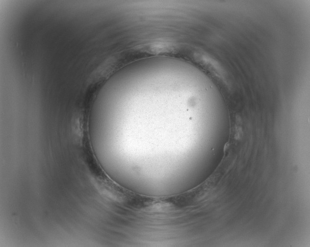 X0000068830210200605081222