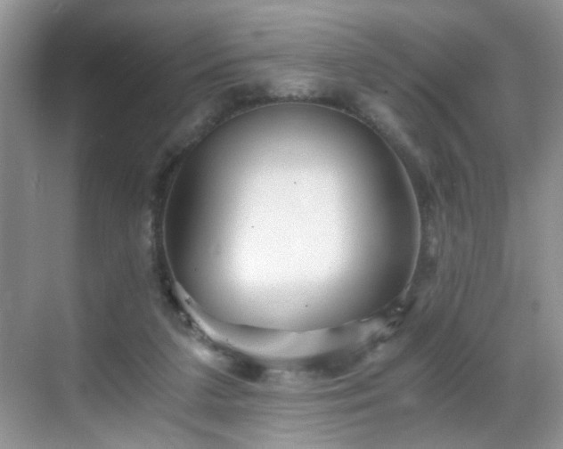 X0000068830211200605081222