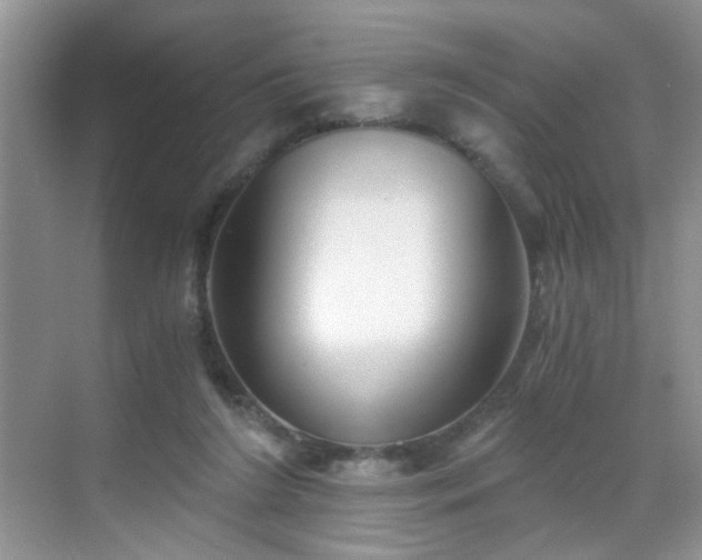 X0000068830212200605081222