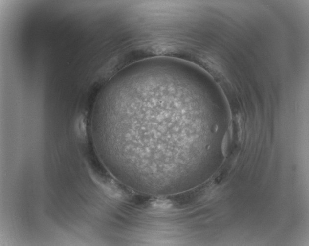 X0000068830214200605081222