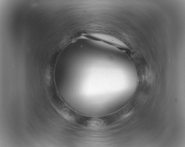 X0000068830215200605081222