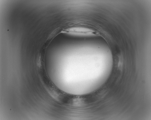 X0000068830216200605081222