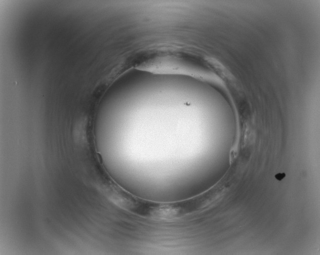 X0000068830217200605081222