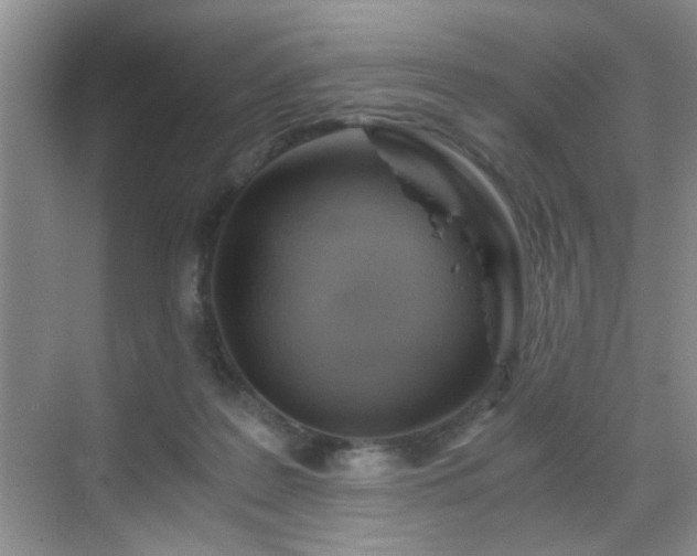 X0000068830219200605081222