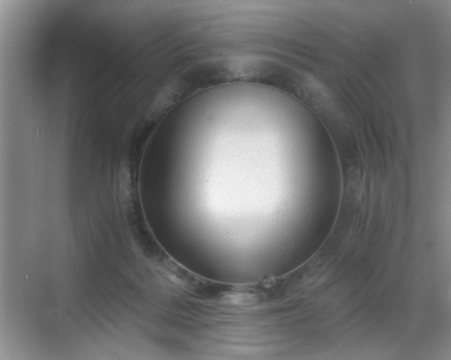 X0000068830220200605081222