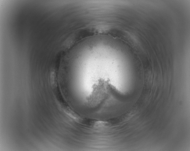 X0000068830222200605081222