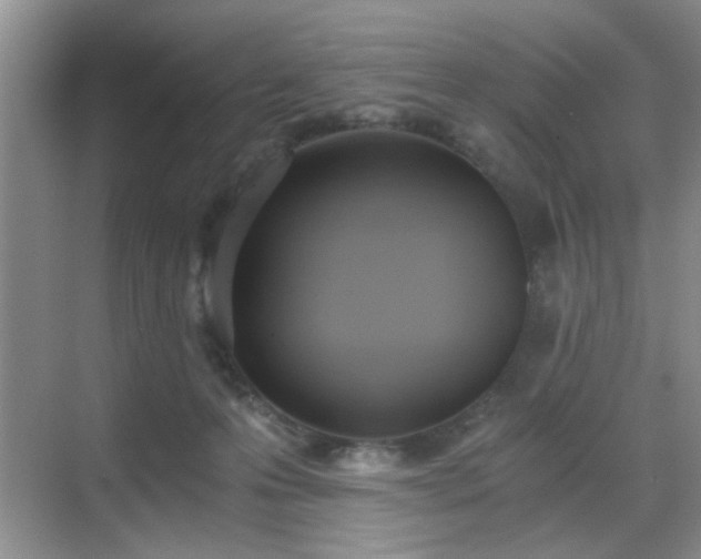 X0000068830223200605081222