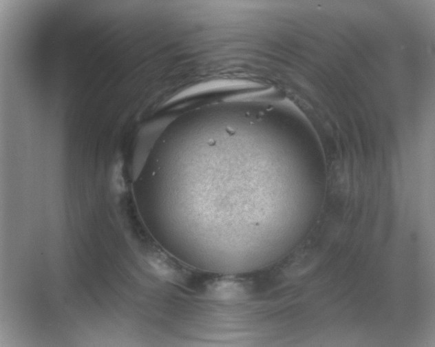 X0000068830224200605081222