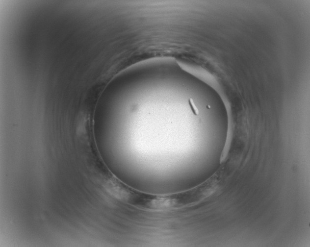 X0000068830225200605081221