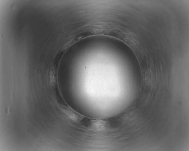 X0000068830226200605081221