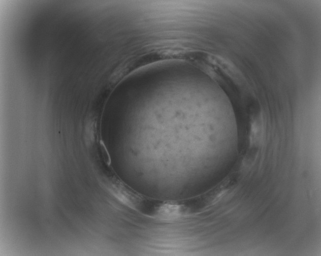 X0000068830227200605081221