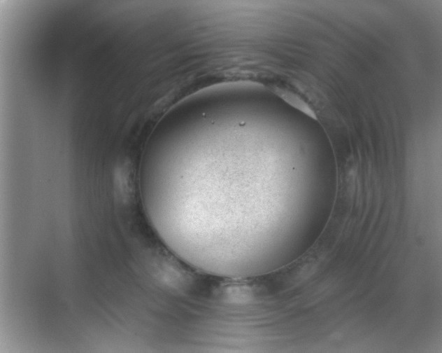 X0000068830228200605081221