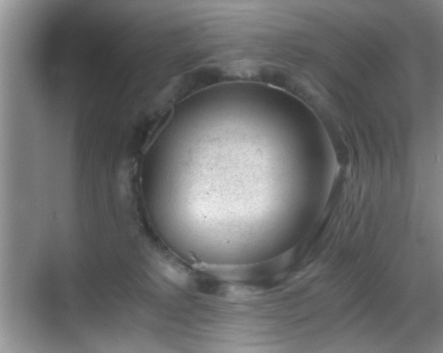 X0000068830229200605081221