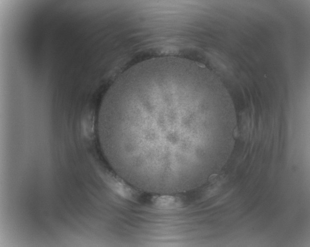 X0000068830230200605081221