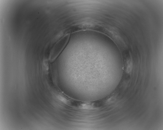 X0000068830232200605081221