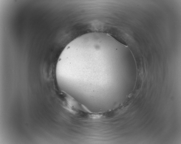 X0000068830233200605081221