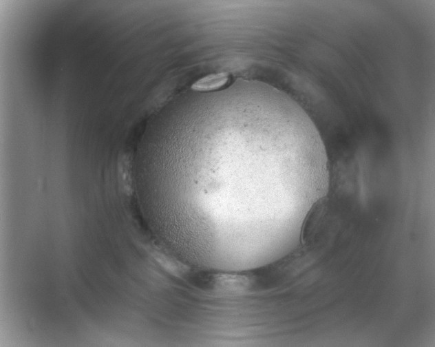 X0000068830234200605081221