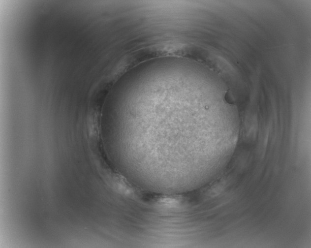 X0000068830236200605081221