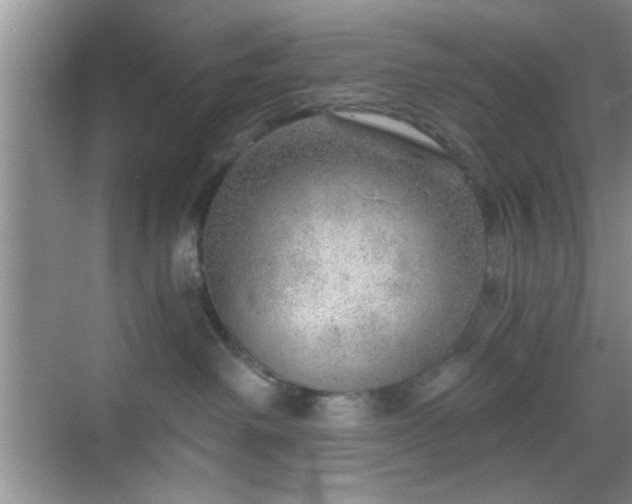 X0000068830238200605081221