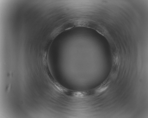 X0000068830239200605081221