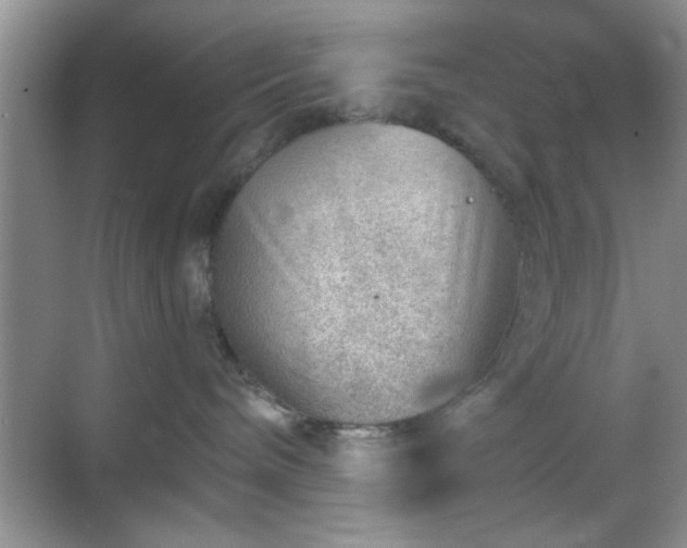 X0000068830240200605081221