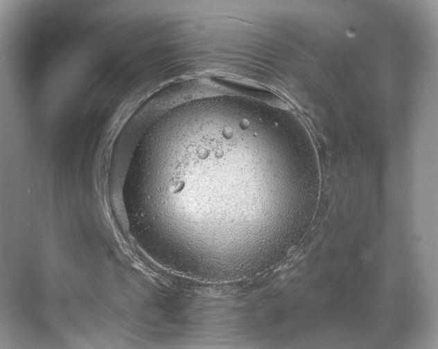 X0000068830241200605081220