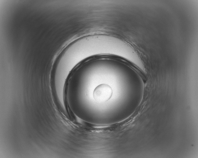 X0000068830244200605081220