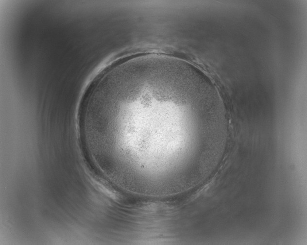 X0000068830246200605081221