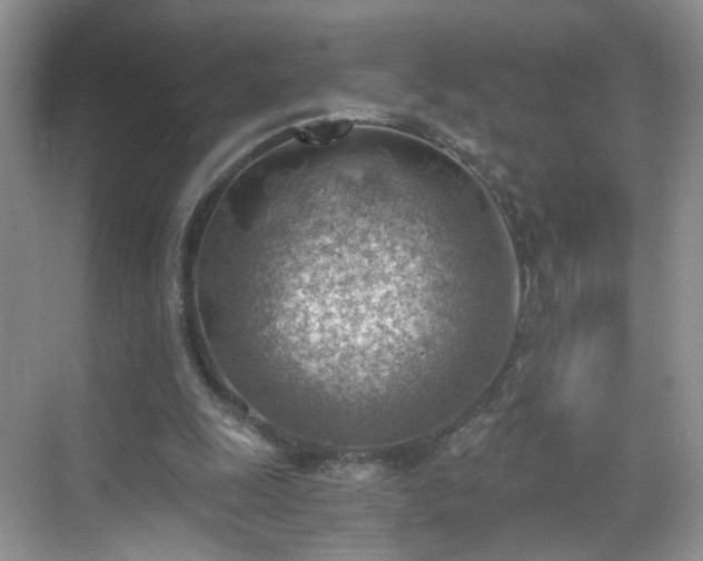 X0000068830247200605081221