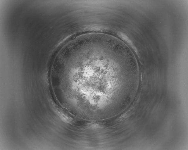 X0000068830249200605081221